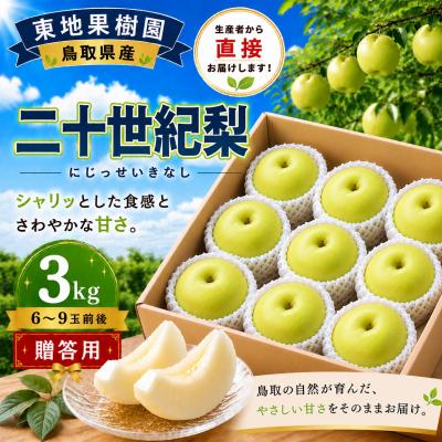 ふるさと納税 湯梨浜町 二十世紀3kg◆東地果樹園◆(367M.)