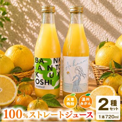 ふるさと納税 天草市 ストレートジュース温州みかん・天草晩柑飲み比べセット