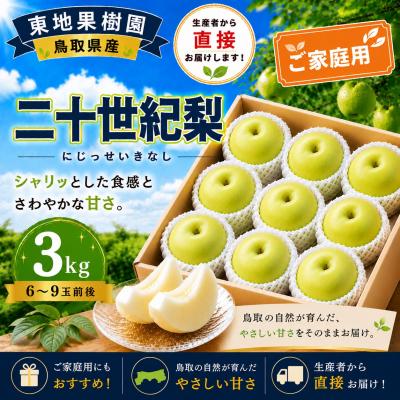 ふるさと納税 湯梨浜町 二十世紀3kg〔ご家庭用〕◆東地果樹園◆(368M.)