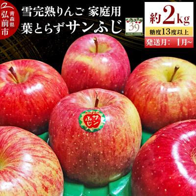 ふるさと納税 弘前市 りんご サンふじ[家庭用]約2kg(8個)先行受付|24_yuk-130201