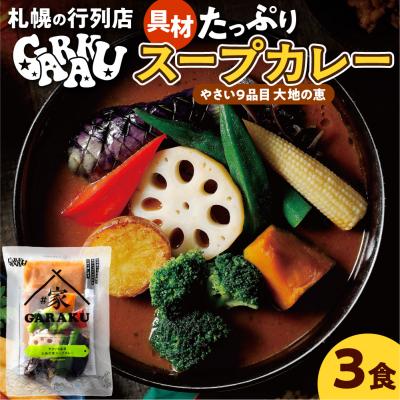 ふるさと納税 札幌市 家GARAKU やさい9品目大地の恵スープカレー_hs358-005