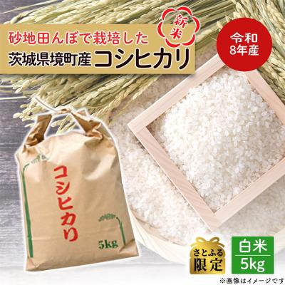 ふるさと納税 境町 [さとふる限定]令和8年産 / 白米 [50個限定] 令和8年産 茨城県 境町産 コシヒカリ 5kg