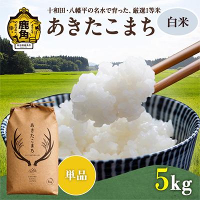 ふるさと納税 鹿角市 あきたこまち 白米 5kg[トライズ]