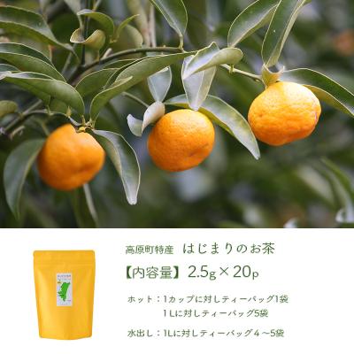 ふるさと納税 高原町 橘の爽やかな香り「はじまりのお茶」 ティーパックタイプ(2.5g×20包)