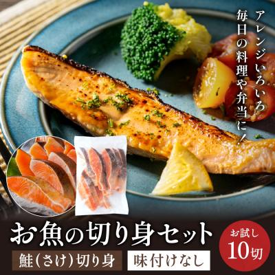 ふるさと納税 関市 さけ 切り身 50gx10切れ 学校給食馴染みのお魚/鮭 サケ お試し 冷凍 簡単 お弁当 おかず