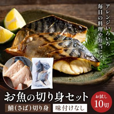 ふるさと納税 関市 さば 切り身 50gx10切れ 学校給食馴染みのお魚/サバ 鯖 お試し 冷凍 簡単 お弁当 おかず