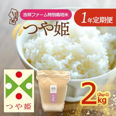 ふるさと納税 庄内町 [定期便]<令和8年産>つや姫 2kg×1袋×1年間 毎月 2kg 金賞受賞農家[10月中旬発送]