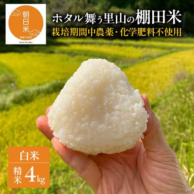 ふるさと納税 赤磐市 先行受付 農薬不使用 ホタル舞う里山の棚田米 朝日 精米4kg 令和8年産[NO5765-1570]