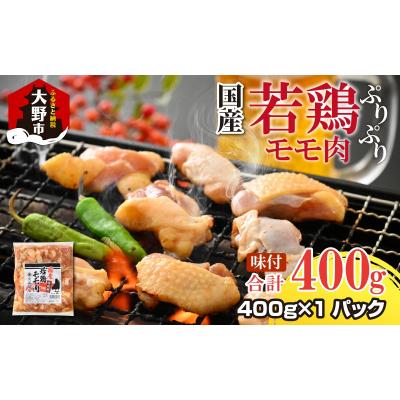 ふるさと納税 大野市 [お試しセット]焼肉用 国産 味付け若鶏 モモ肉 400g(400g×1パック)