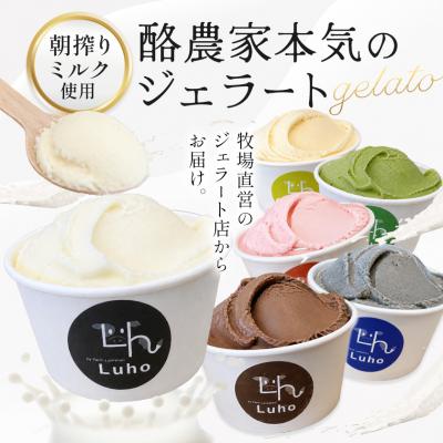 ふるさと納税 笠岡市 アイス スイーツ ジェラート 酪農家本気のジェラート 8個 [30日以内に出荷予定(土日祝除く)]