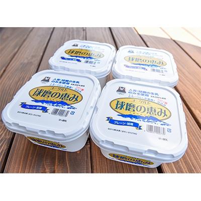 ふるさと納税 湯前町 [毎月定期便]球磨酪農ヨーグルト加糖 全3回