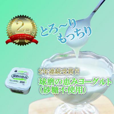 ふるさと納税 湯前町 [毎月定期便]球磨酪農ヨーグル砂糖不使用 全3回