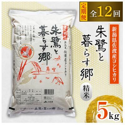 ふるさと納税 佐渡市 [毎月定期便]佐渡産コシヒカリ「朱鷺と暮らす郷」5kg全12回