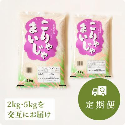 ふるさと納税 能登町 [毎月定期便]こりゃまいじゃ(能登町柳田産コシヒカリ)2kgと5kgを交互に!全12回