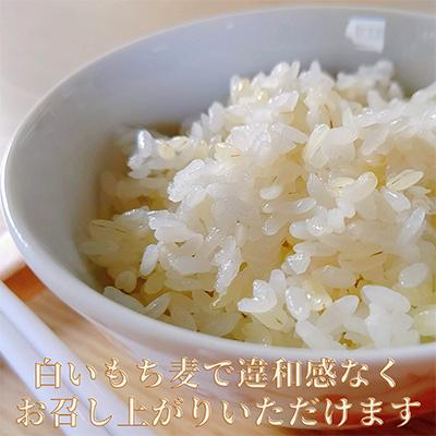 ふるさと納税 みやき町 【毎月定期便】『もち麦』2kg(1kg×2袋)佐賀県産【キラリモチ】(みやき町)全3回_SS380｜y-sf｜02