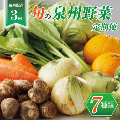 ふるさと納税 泉佐野市 [毎月定期便]旬の泉州野菜 定期便 7種 詰め合わせ 全3回