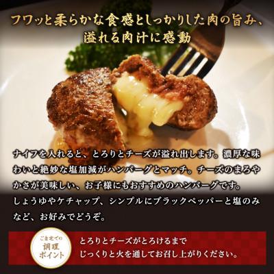 ふるさと納税 別海町 【毎月定期便】チーズがとろける!別海チーズインハンバーグ(120g×6個)全5回_2