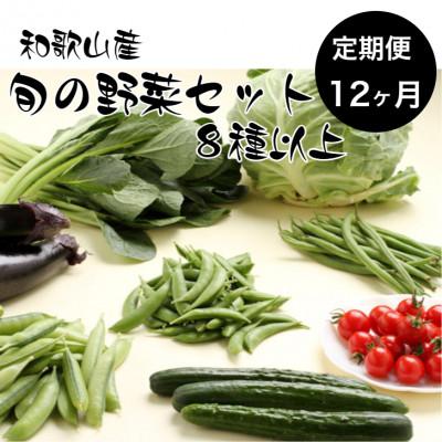 ふるさと納税 印南町 [毎月定期便]旬の新鮮野菜セット 8種以上(和歌山産)全12回