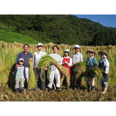 ふるさと納税 魚沼市 【毎月定期便】【無洗米】「米食味鑑定士　厳選」魚沼産コシヒカリ5kg全6回｜y-sf｜04