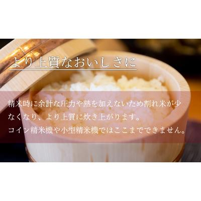 新入荷！ ふるさと納税 南魚沼市 【毎月定期便】南魚沼産コシヒカリ 精米 5kg×2袋全12回 【BC2931729301】(106860円)