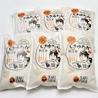 ふるさと納税 近江八幡市 【毎月定期便】しきゆたか　白米　5kg　全6回_1