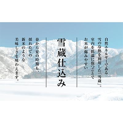 ふるさと納税 新潟県 【毎月定期便】佐渡産コシヒカリ　精米　10kg(5kg×2)全12回｜y-sf｜02