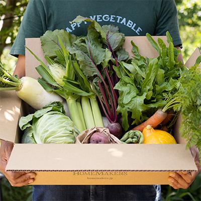 ふるさと納税 土庄町 [小豆島][毎月定期便]瀬戸内小豆島そだちの旬野菜セット全12回