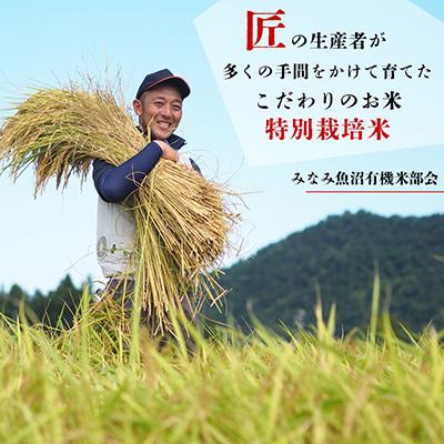 【希少】 ふるさと納税 南魚沼市 【毎月定期便】特別栽培米南魚沼産こしひかり8割減 玄米 5kg全3回 【U5456854650】(19890円)