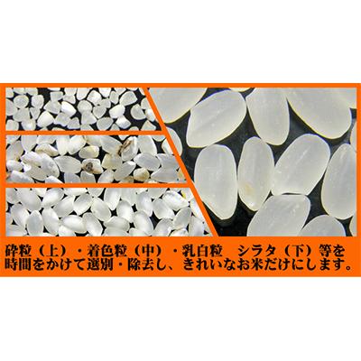 ふるさと納税 米沢市 【発送月固定定期便】【令和5年産】特別栽培米つや姫10kg(5kg×2袋)全3回 