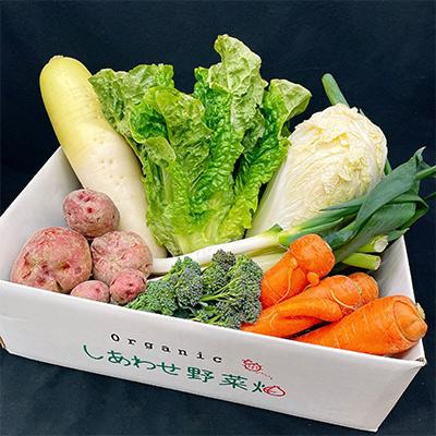 ふるさと納税 掛川市 [毎月定期便][フードロス対応・規格外野菜利用] オーガニック野菜 シェフSセット全12回