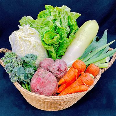 【正規品】 ふるさと納税 掛川市 【毎月定期便】【フードロス対応・規格外野菜利用】　オーガニック野菜　シェフSセット全12回 【QGW1679029347】(61200円)