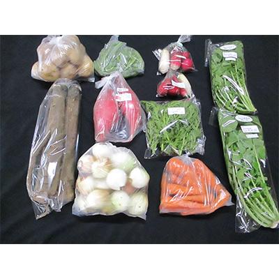 【正規品】 ふるさと納税 掛川市 【毎月定期便】【フードロス対応・規格外野菜利用】　オーガニック野菜　シェフSセット全12回 【QGW1679029347】(61200円)