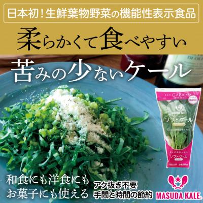 ふるさと納税 磐田市 [毎月定期便]TV紹介で大好評 ソフトケール 100g×5袋 健康 腸活応援 スムージー 全12回