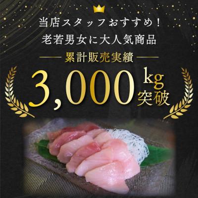 ふるさと納税 浜松市 【毎月定期便】 トロビンチョウマグロ切り落とし(250g×4 計1kg)全12回_2