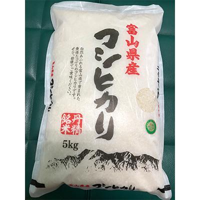 ふるさと納税 朝日町 [毎月定期便]3カ月定期便 こだわりのお米 コシヒカリ精米5kg 全3回