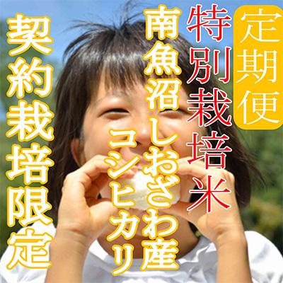 ふるさと納税 南魚沼市 【毎月定期便】※特別栽培米2Kg※生産者限定 南魚沼しおざわ産コシヒカリ 全6回の画像