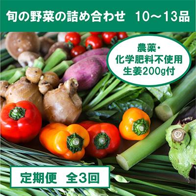 ふるさと納税 南国市 [毎月定期便]旬の野菜と栽培期間中農薬不使用の生姜200g 全3回