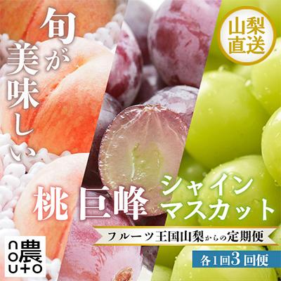 ふるさと納税 笛吹市 [発送月固定定期便]山梨の美味しい果物 桃・巨峰・シャインマスカット全3回