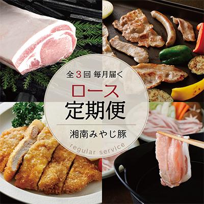 ふるさと納税 藤沢市 [毎月定期便]ブランド豚肉 みやじ豚ロース750g しゃぶしゃぶ 焼肉 とんかつ用 全3回