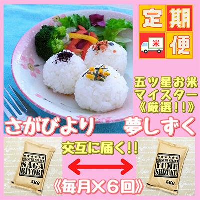 ふるさと納税 江北町 [毎月定期便]『さがびより』と『夢しずく』白米5kg食べ比べ!(江北町)全6回