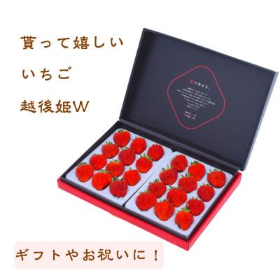 ふるさと納税 上越市 [発送月固定定期便][1~5月発送]いちご定期配送 雪国完熟いちご越後姫 ダブル(約760g)全5回