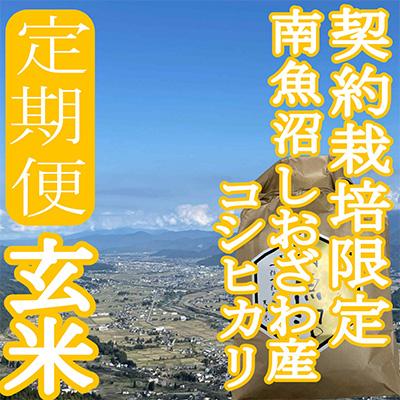 ふるさと納税 南魚沼市 【毎月定期便】※玄米4Kg※生産者限定　南魚沼しおざわ産コシヒカリ全3回_1