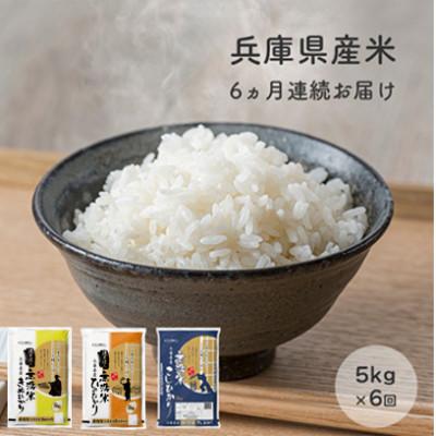 ふるさと納税 小野市 [毎月定期便]6ヵ月連続お届け!兵庫県産銘柄無洗米5kg×1袋全6回