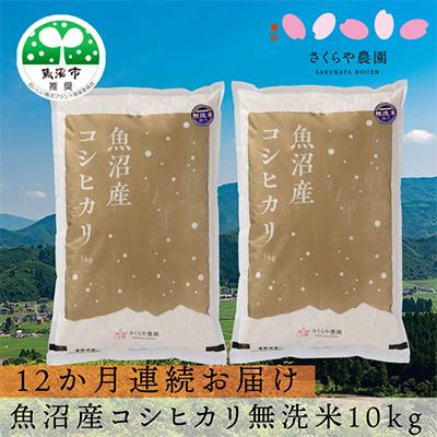 ふるさと納税 魚沼市 [毎月定期便]魚沼産コシヒカリ 無洗米10kg(5kg×2) さくらや農園 全12回