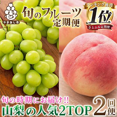 ふるさと納税 山梨市 [発送月固定定期便]2026年発送 山梨フルーツ旬の果物 桃+シャインマスカット 全2回