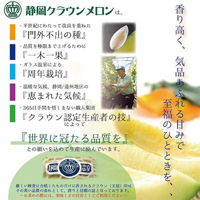 ふるさと納税 浜松市 【毎月定期便】ジャケット冠瓜(白カテゴリー化)大玉5玉・3ヵ月毎月お届け全3回