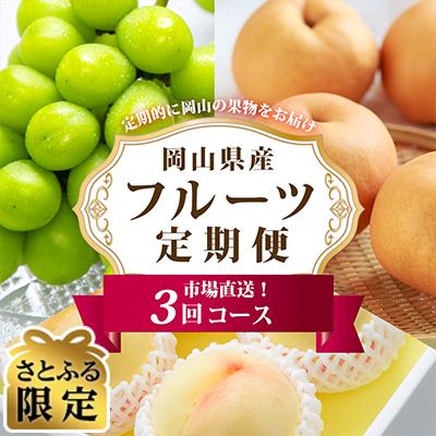 ふるさと納税 浅口市 [発送月固定定期便][さとふる限定]岡山県産 フルーツ定期便全3回