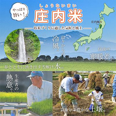ふるさと納税 鶴岡市 【毎月定期便】山形県産 はえぬき 無洗米 計30kg (5kg×6回) 全6回 