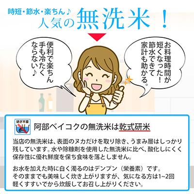 ふるさと納税 鶴岡市 【毎月定期便】山形県産 はえぬき 無洗米 計30kg (5kg×6回) 全6回 