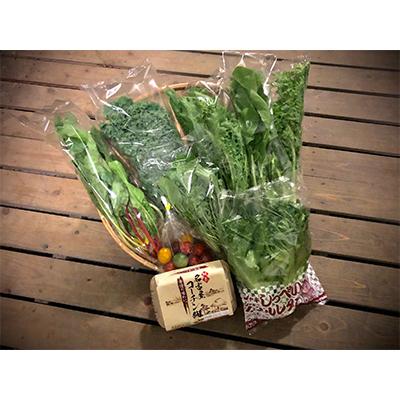 ふるさと納税 磐田市 [毎月定期便]簡単にサラダボウルが作れる野菜セット&amp;希少たまごの定期便 全5回